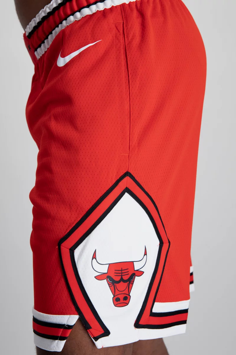 NIKE Chicago Bulls Icon Edition